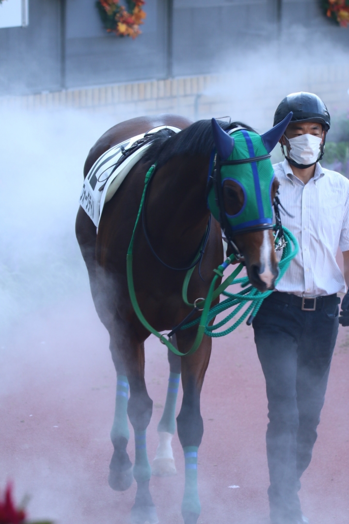 2021/10/3 3歳以上2勝クラス フォークテイル