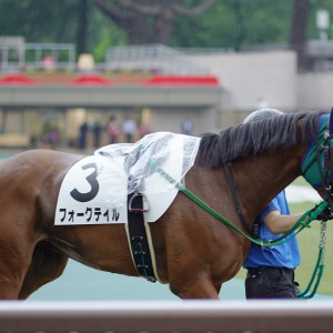 2021/5/22 4歳以上2勝クラス(牝)