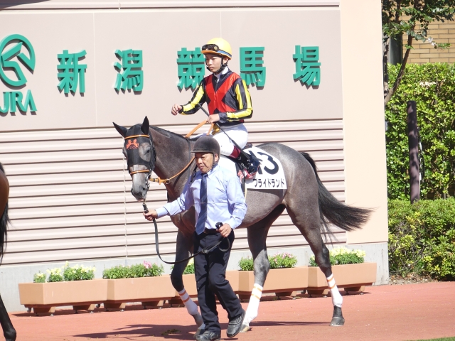 新馬戦 プライドランド