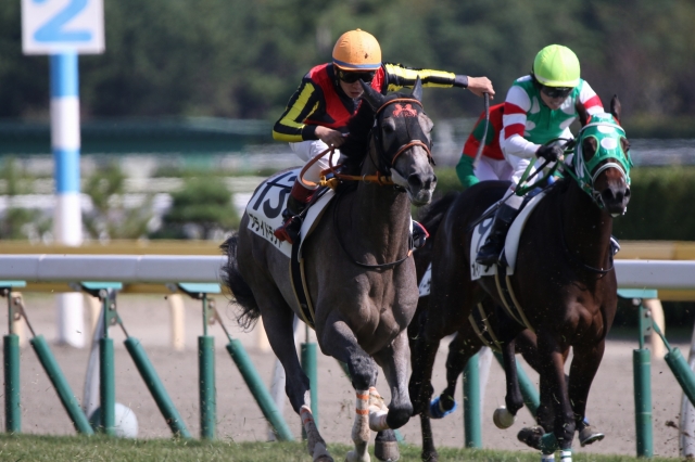 新馬戦② プライドランド