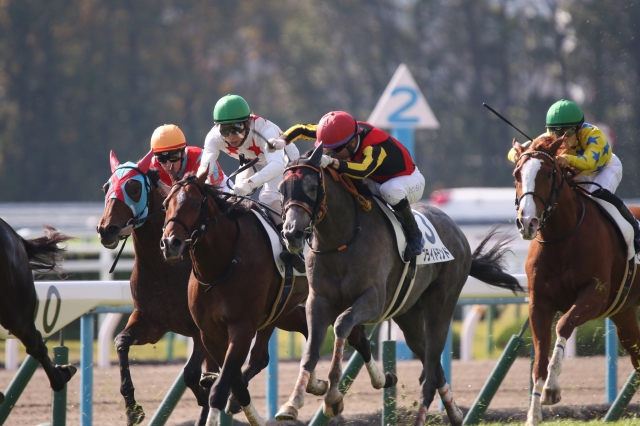 初勝利！ プライドランド