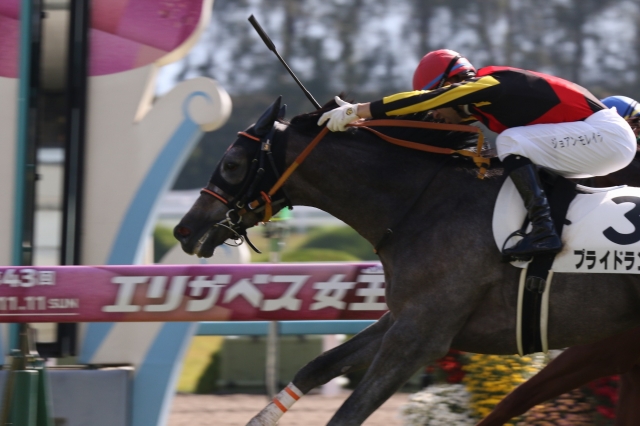 初勝利！ プライドランド