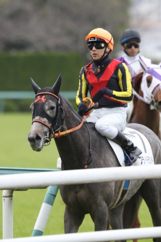 第４戦 プライドランド