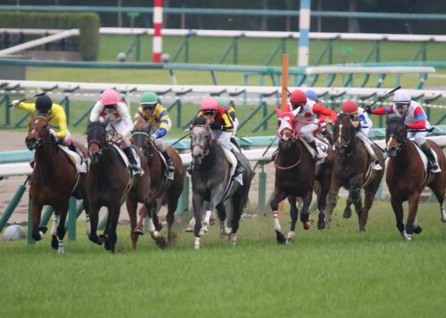 第5戦 プライドランド
