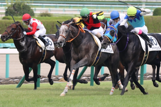 第７戦 プライドランド