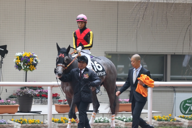 フォーチュンC プライドランド