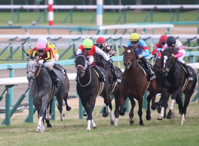 フォーチュンC プライドランド