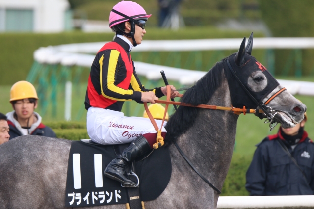 春日特別 プライドランド