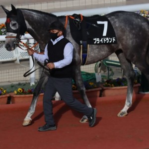 猪名川特別