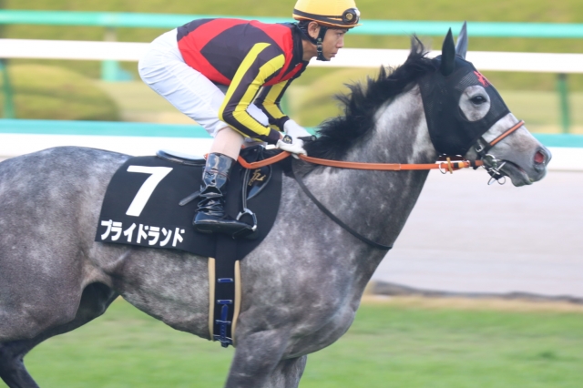 猪名川特別 プライドランド