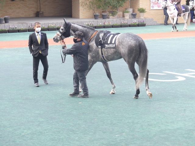 寿S プライドランド