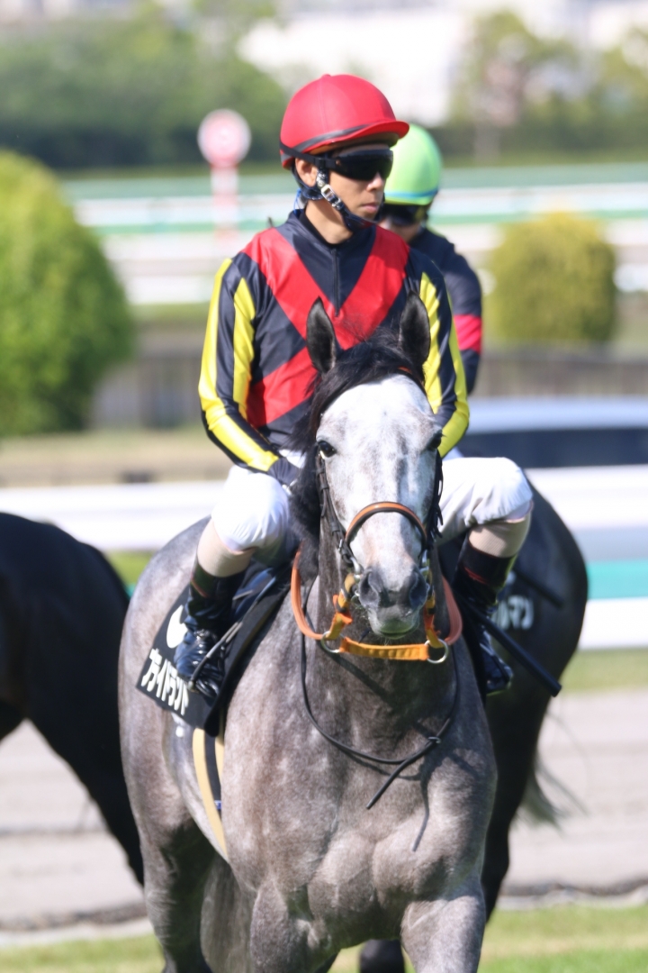 2021/4/24 京橋S(3勝クラス) プライドランド