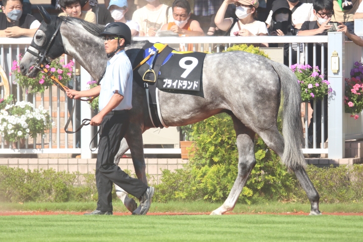 2022年7月 プライドランド