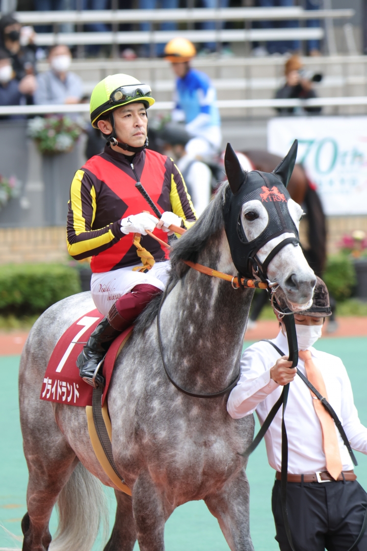 2023/1/15 日経新春杯(G2) プライドランド