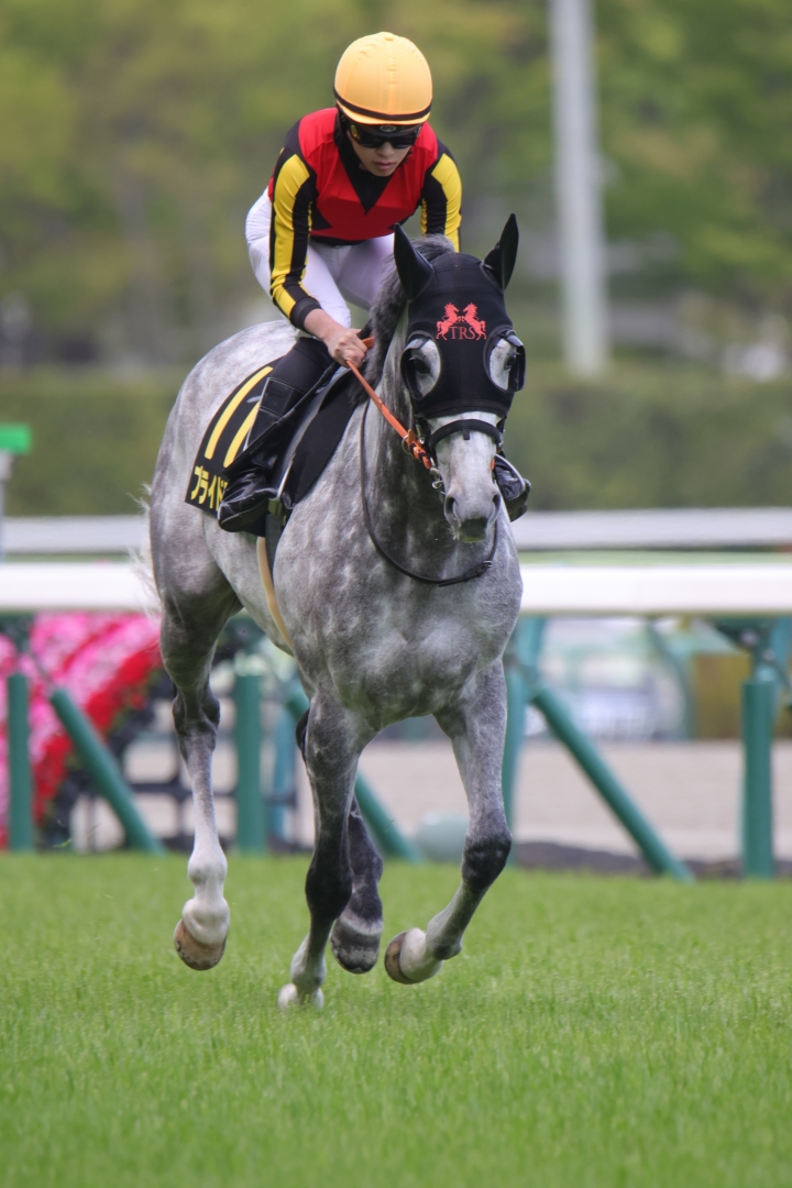 2023/4/16 福島民報杯(OP) プライドランド