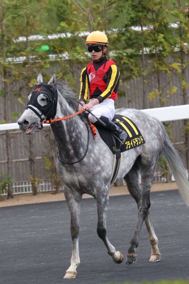2023/4/16 福島民報杯(OP) プライドランド