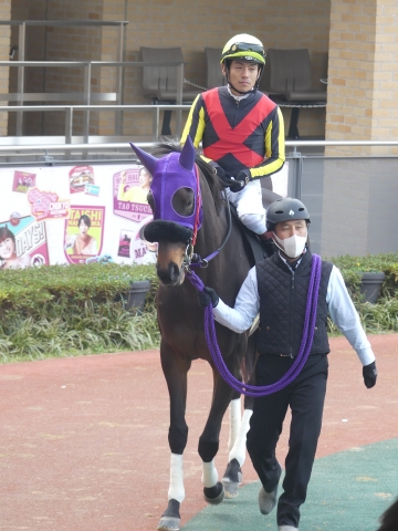 寿S モアナアネラ