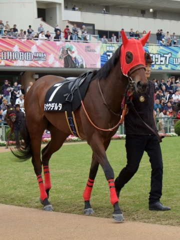 パドック１ ドナウデルタ
