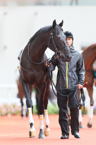 新馬戦パドック ルバクオーリ