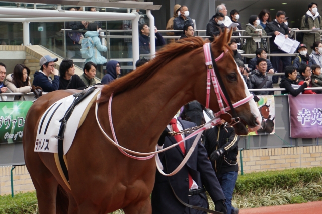 テメノス　３歳未勝利3/23中京パドック④ テメノス