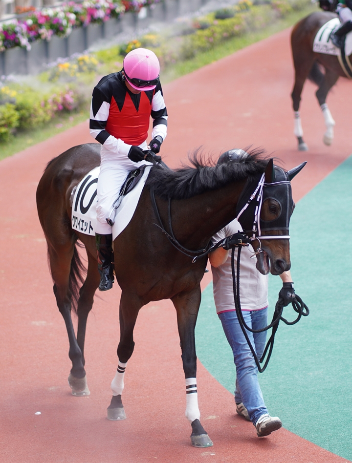 2021/5/9 4歳以上1勝クラス クワイエット
