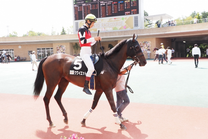 2023/7/22 中京 香嵐渓特別(1勝クラス) クワイエット