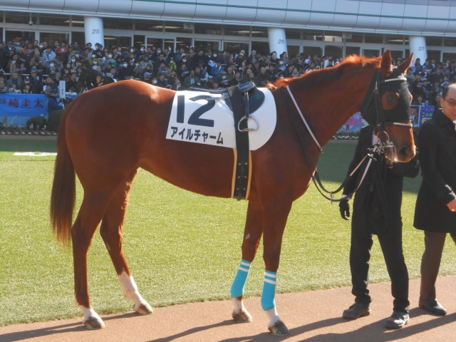 アイルチャーム☆彡デビュー戦！その２ アイルチャーム