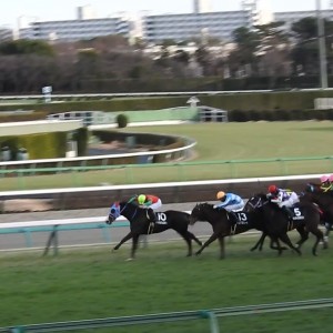 2022/1/15 カーバンクルS(OP)