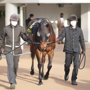 2021/12/5 ラピスラズリS(OP)