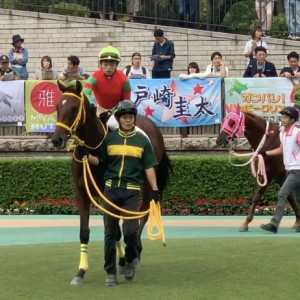 東京競馬場 パドックにて