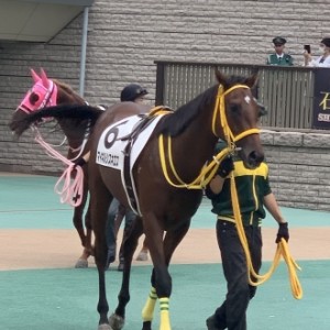 東京競馬場 パドックにて