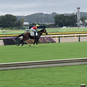 東京競馬場  返し馬