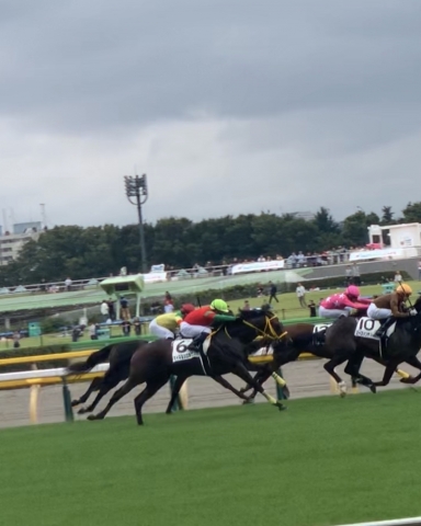 東京競馬場 ゴール前 マイネルシスネロス