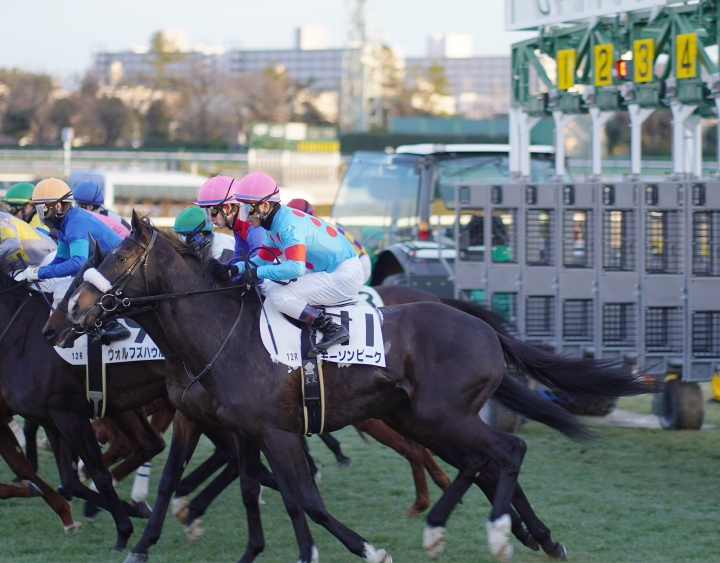 2022/1/15 4歳以上2勝クラス モーソンピーク