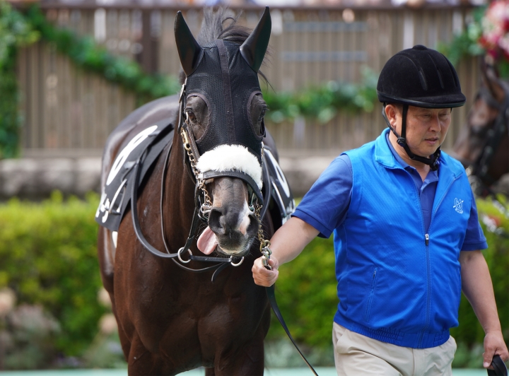 2023/5/28 むらさき賞(3勝クラス) モーソンピーク