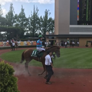 新潟競馬場