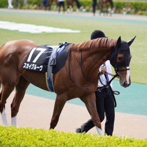 2021/4/24 晩春S(3勝クラス)