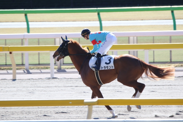 返し馬 トラモント