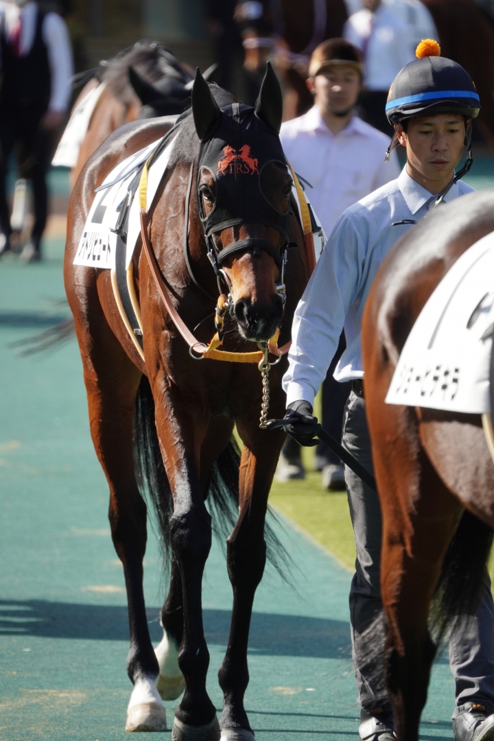 2023/2/12 4歳以上2勝クラス アトリビュート