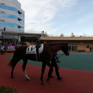 2019/12/15 2歳未勝利