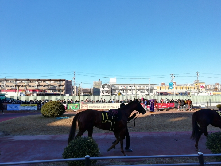 2021/12/23 名古屋GP(Jpn2) ヴェルテックス