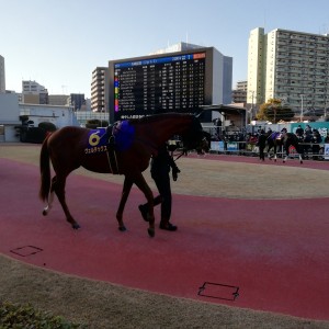 2022/2/2 川崎記念(Jpn1)