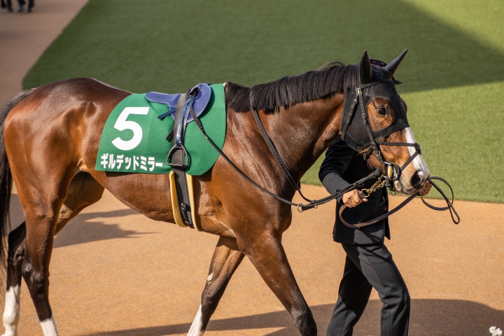 2022年4月 ギルデッドミラー