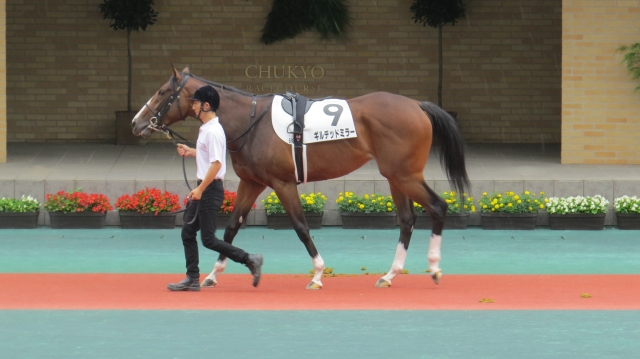 新馬戦パドック ギルデッドミラー