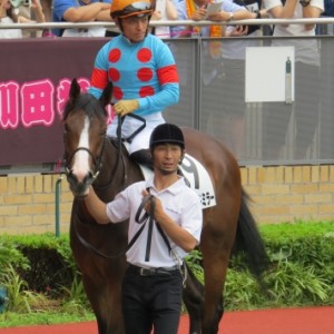 新馬戦パドック