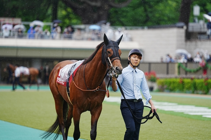 2023/5/13 京王杯スプリングC(G2) ラウダシオン