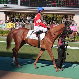 レッドヴァレリー