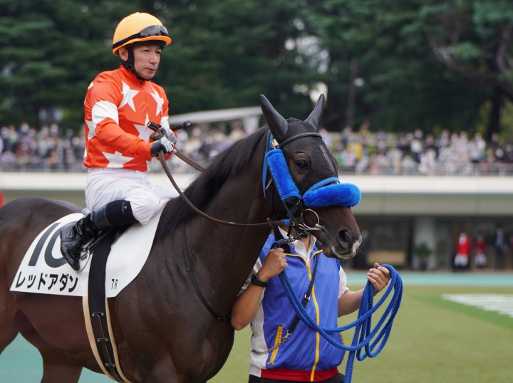 2022/10/22 3歳以上1勝クラス レッドアダン