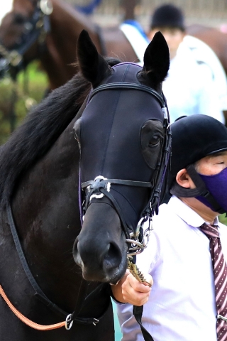 2020.11.08 東京12R 3歳上2勝C レッドライデン