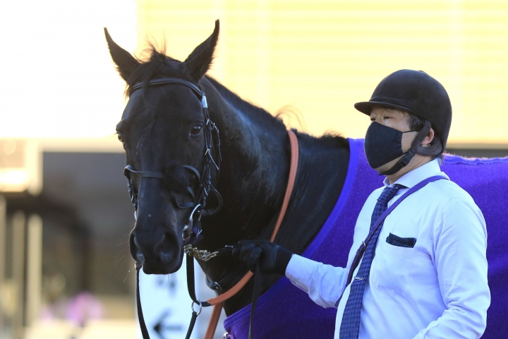 2022/1/22 初富士S(3勝クラス) レッドライデン